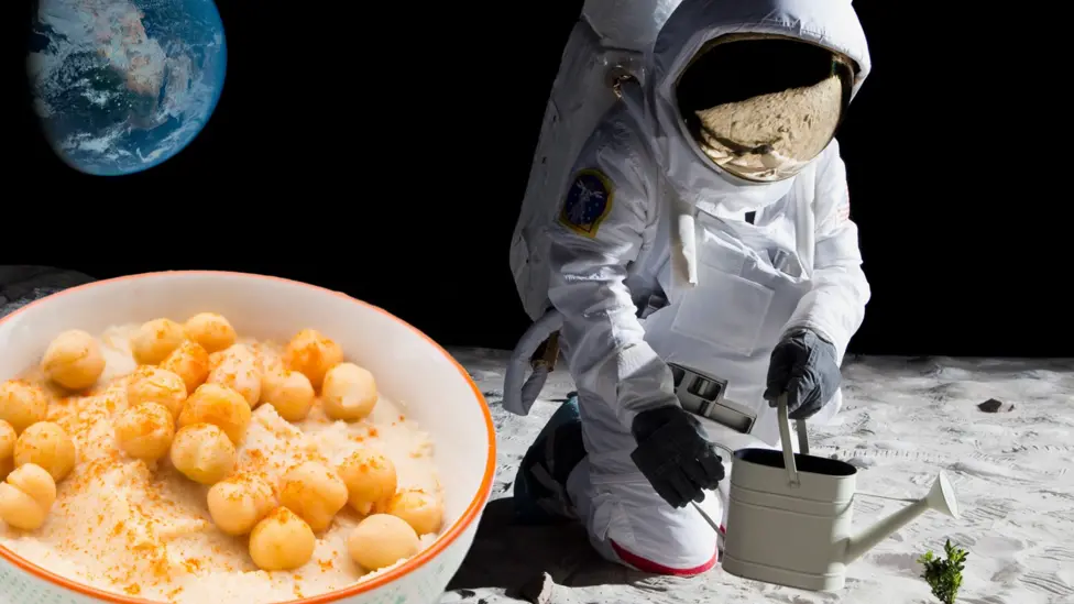 Chickpeas in Moon-like soil point to a testable route
